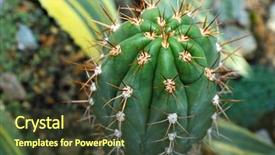  Presentation with botanical - Beautiful PPT theme featuring  backdrop and a  colored foreground