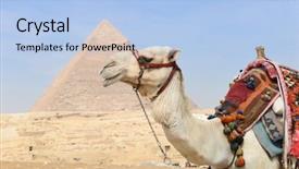  Presentation with camel - Beautiful PPT layouts featuring sphinx - cute camel and giza pyramids backdrop and a light blue colored foreground