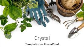  Presentation with gardening - PPT layouts enhanced with spicy-herbs-in-bucket background and a white colored foreground