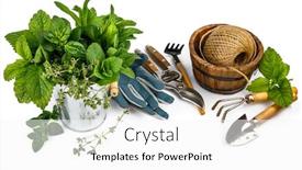  Presentation with gardening - Theme with spicy-herbs-in-bucket background and a white colored foreground