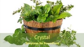  Presentation with gardening - Cool new slide set with spicy-herbs-in-wooden-basket backdrop and a tawny brown colored foreground