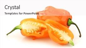  Presentation with capsicum - Beautiful PPT theme featuring spicy hot adjuma pepper capsicum backdrop and a  colored foreground