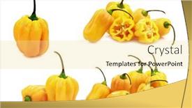  Presentation with capsicum - PPT layouts consisting of spicy-hot-peppers-capsicum-chinense background and a blonde colored foreground