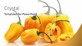  Presentation with capsicum - Presentation theme with spicy-hot-peppers-capsicum-chinense background and a white colored foreground