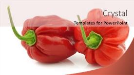  Presentation with peppers - Audience pleasing slides consisting of spicy hot red habanero peppers on a white background backdrop and a lemonade colored foreground