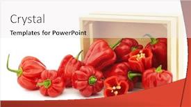  Presentation with peppers - Slides consisting of suriname - spicy hot red habanero peppers background and a white colored foreground