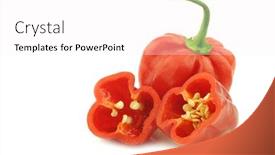  Presentation with red and white industry - Slides with suriname - spicy hot red habanero peppers background and a white colored foreground