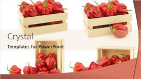  Presentation with peppers - Presentation design featuring spicy-hot-red-habanero-peppers background and a lemonade colored foreground