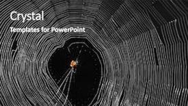 Presentation with spider web - Cool new presentation theme with spider and web backdrop and a dark gray colored foreground