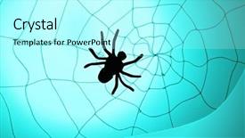  Presentation with spider web - Audience pleasing slide deck consisting of spider on web halloween decoration backdrop and a arctic colored foreground