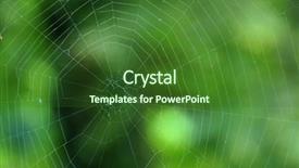  Presentation with spider - Beautiful presentation theme featuring spider's net backdrop and a forest green colored foreground