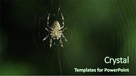  Presentation with spider web - Slide deck consisting of spider waiting in its web background and a wine colored foreground