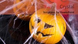  Presentation with spider web - 