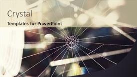  Presentation with spider web - Colorful presentation design enhanced with spider web in autumn meadow backdrop and a lemonade colored foreground