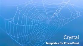  Presentation with spider web - Beautiful PPT layouts featuring spider-web-in-sunrise-sun backdrop and a teal colored foreground