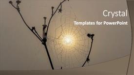  Presentation with spider web - Slide deck featuring spider-web-in-sunrise-sun background and a gray colored foreground