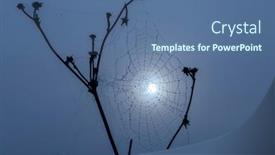  Presentation with spider web - Beautiful presentation theme featuring spider-web-in-sunrise-sun backdrop and a ocean colored foreground
