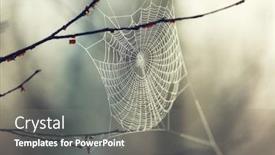  Presentation with spider web - PPT layouts with spider-web-on-autumn-background background and a gray colored foreground