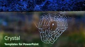  Presentation with dark web - Theme featuring spider-web-with-drops background and a tawny brown colored foreground