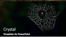  Presentation with dark web - Presentation theme featuring spider-web-with-drops background and a black colored foreground