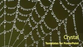  Presentation with spider web - Theme enhanced with spider web with morning dew background and a tawny brown colored foreground
