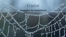  Presentation with spider web - Cool new theme with spider-web-with-morning-dew backdrop and a light blue colored foreground