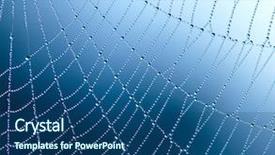  Presentation with spider web - Beautiful slide deck featuring spider web with water drops backdrop and a ocean colored foreground
