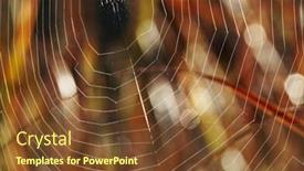  Presentation with spider web - Beautiful PPT theme featuring spider web backdrop and a tawny brown colored foreground