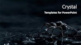  Presentation with fear spiders - Audience pleasing presentation theme consisting of spiderman - arachnophobia - the fear backdrop and a black colored foreground