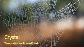  Presentation with spider web - Cool new theme with spider's web with beads backdrop and a tawny brown colored foreground