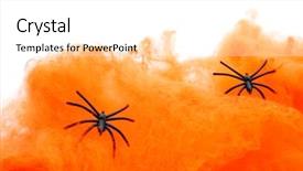  Presentation with halloween - Colorful presentation theme enhanced with spiderweb and some frightening spiders backdrop and a white colored foreground
