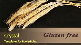  Presentation with wheat - Slide deck consisting of spike-lets-of-wheat background and a tawny brown colored foreground