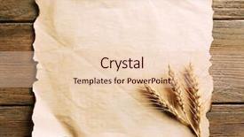  Presentation with wheat bran - Audience pleasing PPT theme consisting of spikelets of wheat with paper backdrop and a lemonade colored foreground