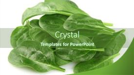  Presentation with spinach - Audience pleasing PPT theme consisting of spinach in closeup backdrop and a tawny brown colored foreground