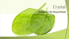  Presentation with spinach - 