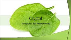 Presentation with spinach - Amazing PPT theme having spinach isolated on white background backdrop and a yellow colored foreground