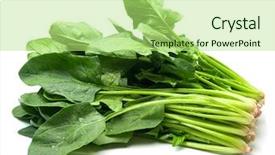  Presentation with spinach - Colorful theme enhanced with spinach isolated on white with natural shadows backdrop and a mint green colored foreground