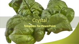  Presentation with water drops - Theme having spinach-leaves-with-drops background and a tawny brown colored foreground