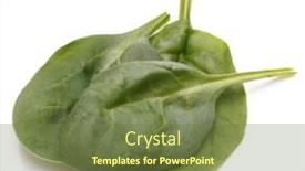  Presentation with spinach - Colorful slide set enhanced with spinach vegetables isolated on white background cutout backdrop and a tawny brown colored foreground