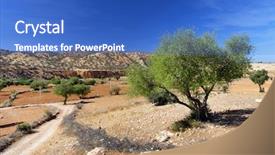  Presentation with fruit trees - Presentation theme consisting of spinosa cultivated for the oil background and a teal colored foreground