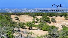  Presentation with fruit trees - Presentation design with spinosa cultivated for the oil background and a light blue colored foreground