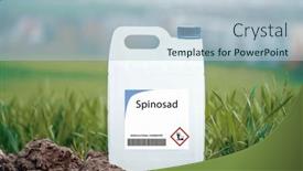  Presentation with soil bacteria - PPT theme having spinosad-biopesticide-derived-from-soil background and a  colored foreground