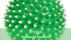  Presentation with bone - Presentation theme with spiny-ball-dog-bone-pet background and a shamrock green colored foreground