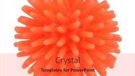  Presentation with bone - Slide set enhanced with spiny-ball-dog-bone-pet background and a red colored foreground