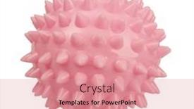  Presentation with bone - Presentation design consisting of spiny-ball-dog-bone-pet background and a coral colored foreground