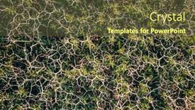  Presentation with nature - Cool new slide set with spiny-burnet-or-sarcopoterium-spinosum backdrop and a tawny brown colored foreground