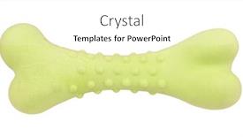  Presentation with bone - Presentation theme enhanced with spiny-dog-bone-pet-toy background and a white colored foreground