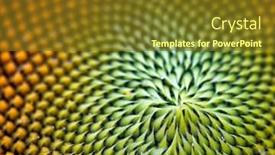  Presentation with creation - Cool new PPT layouts with spiral-abstract-pattern backdrop and a tawny brown colored foreground