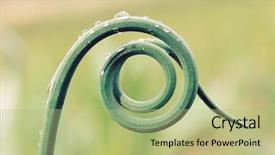  Presentation with development - PPT theme enhanced with spiral development - nature photography background and a mint green colored foreground
