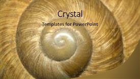  Presentation with shell - Audience pleasing presentation theme consisting of spiral shell backdrop and a yellow colored foreground
